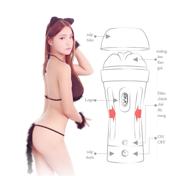 cấu tạo cốc evo gasbag 5d